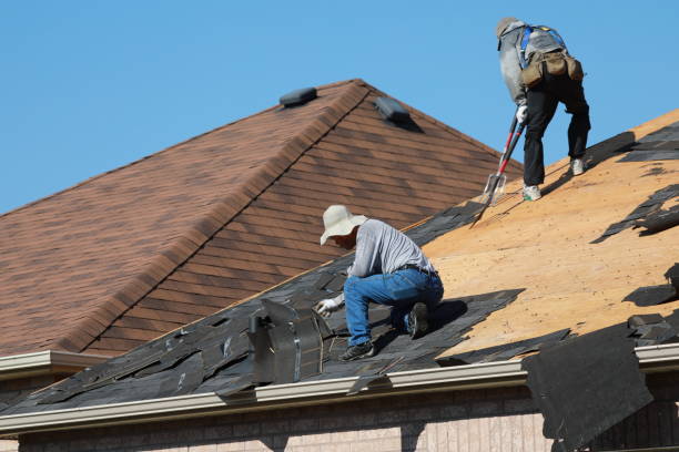 Best Siding  in Honaker, VA