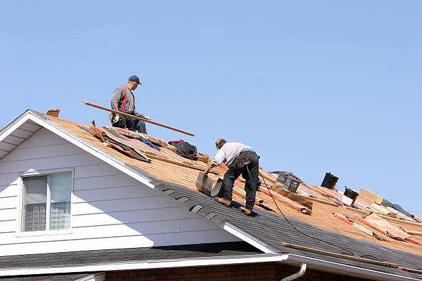Best Gutter Installation and Repair  in Honaker, VA